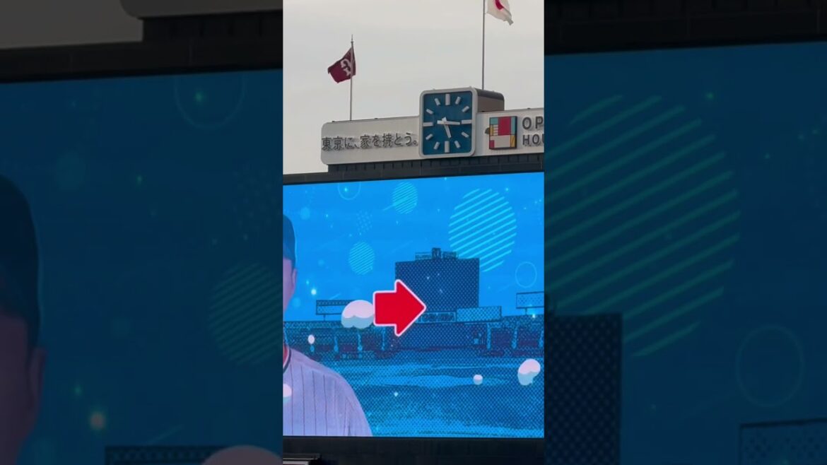 石山泰稚選手メッセージヤクルトスワローズ