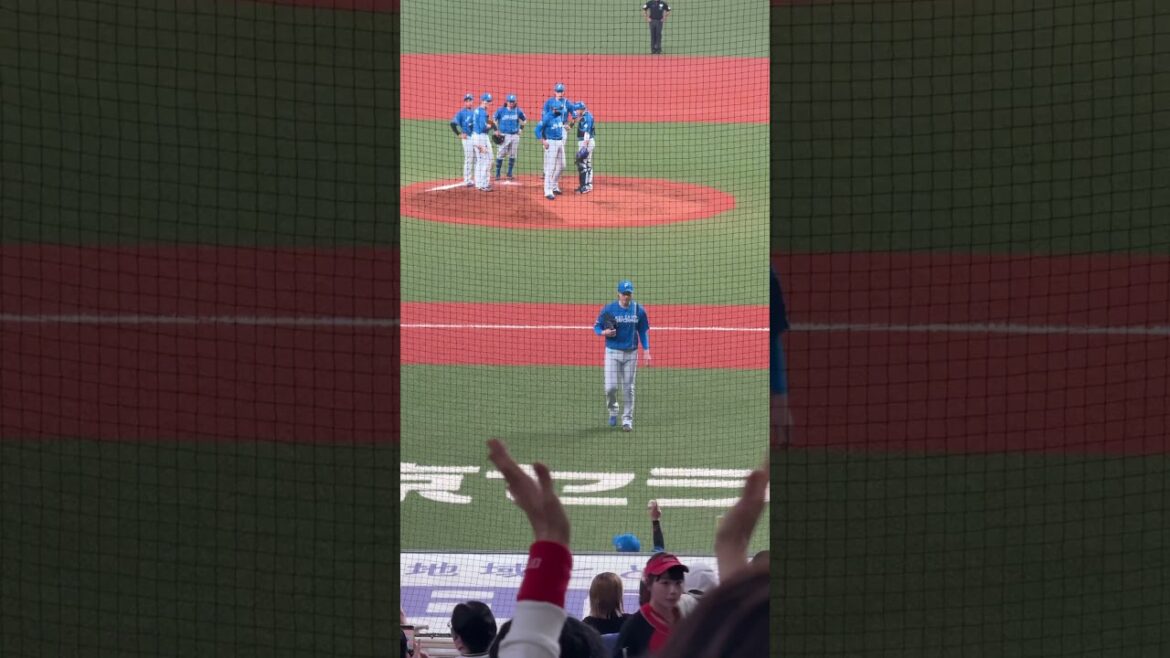 【日本ハムファイターズ】4/19山﨑 福也投手白星つかずもナイスピッチングに拍手で迎える日ハムファン#オリックスvs日本ハム#shorts