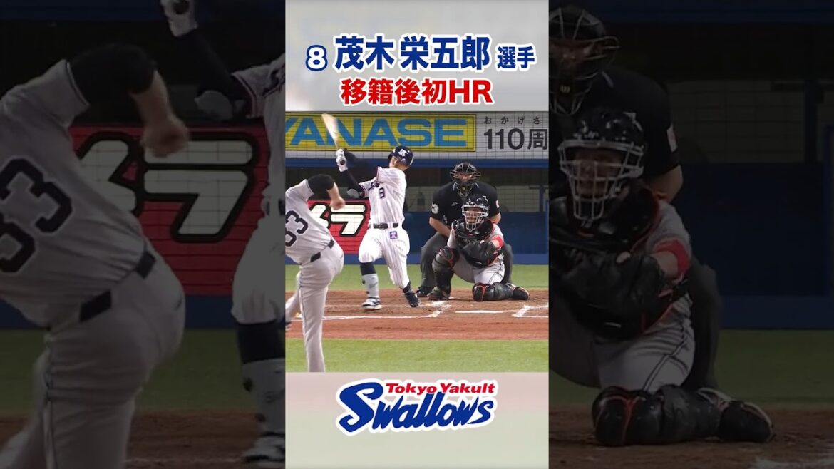 茂木栄五郎選手 移籍後初HR #swallows #茂木栄五郎 #shorts