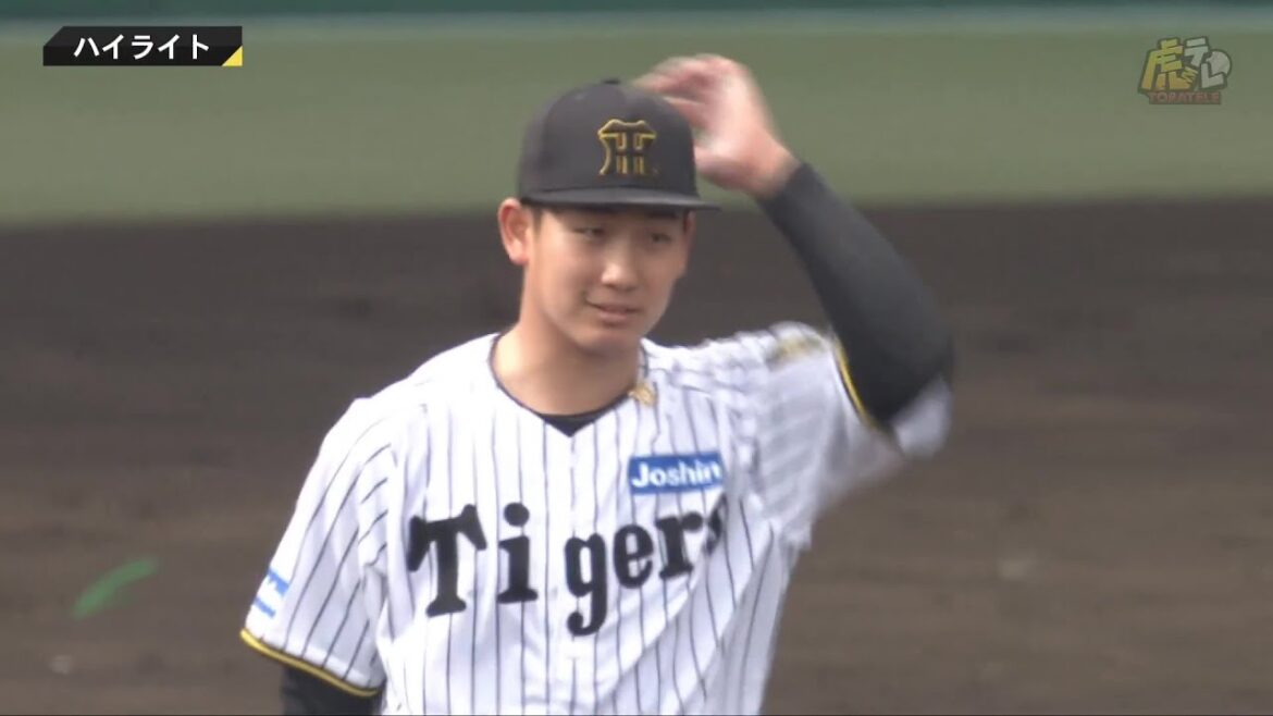 【ハイライト】2025/4/20(日)阪神vs広島(甲子園)