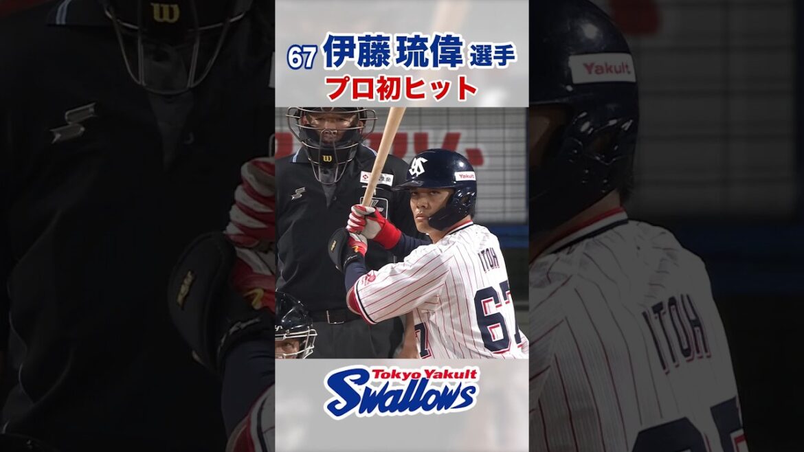伊藤琉偉選手 プロ初ヒット #swallows #伊藤琉偉 #shorts
