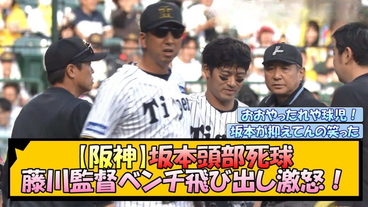 【阪神】坂本頭部死球に藤川監督ベンチ飛び出し激怒！