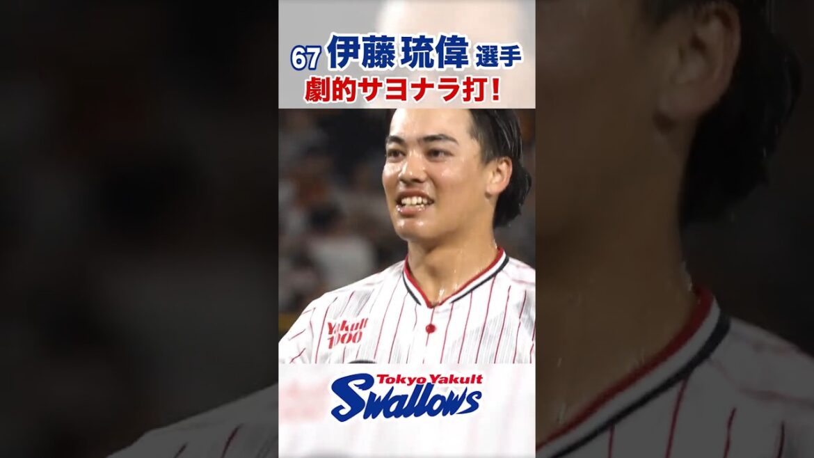 伊藤琉偉選手 劇的サヨナラ打 #swallows #伊藤琉偉 #shorts