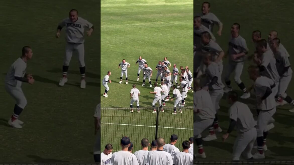 横浜高校　気合いすごい　#高校野球 #野球 #横浜高校 #野球 #高校生