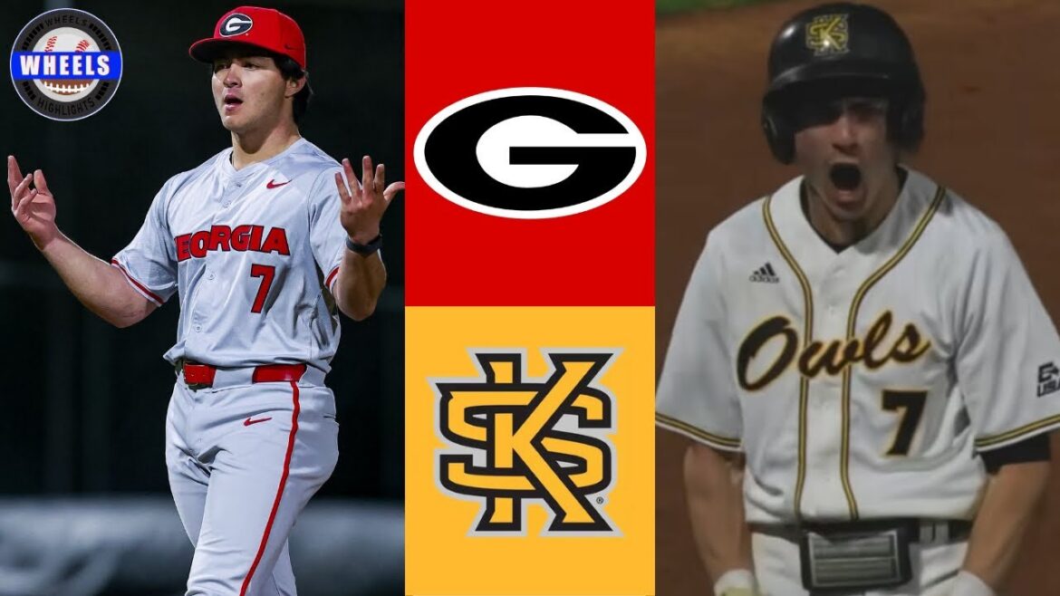 #8 Georgia vs Kennesaw State (THINGS GOT HEATED!) | 2025 College Baseball