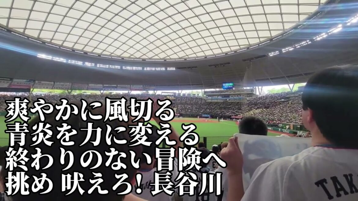 【埼玉西武】長谷川信哉応援歌2024/4/20/福岡ソフトバンク戦