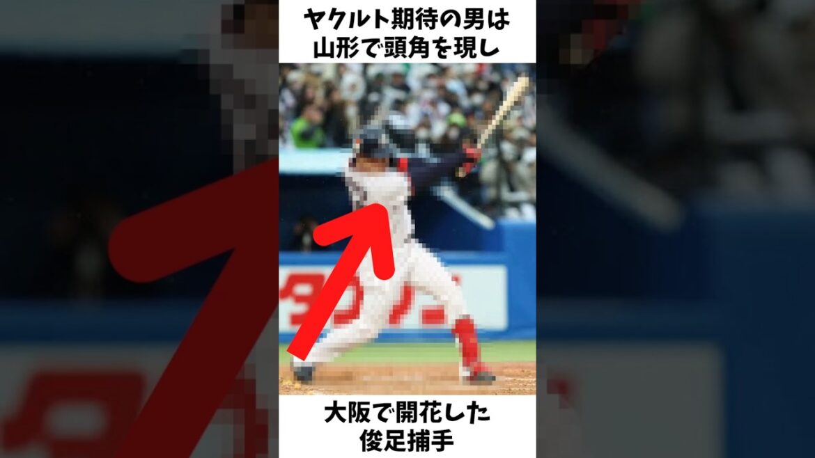 ヤクルトの捕手問題を解決する異色のルーキー#プロ野球 #東京ヤクルトスワローズ #松本龍之介