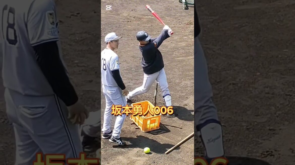 【GIANTS】 #坂本勇人 006のバッティング練習 #shorts #巨人 #ジャイアンツ #プロ野球
