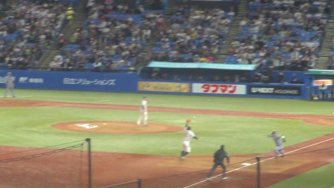 ヤクルト 茂木栄五郎 ナイスプレーでダブルプレー　ヤクルト vs  阪神　2025年4月17日(木) 神宮球場