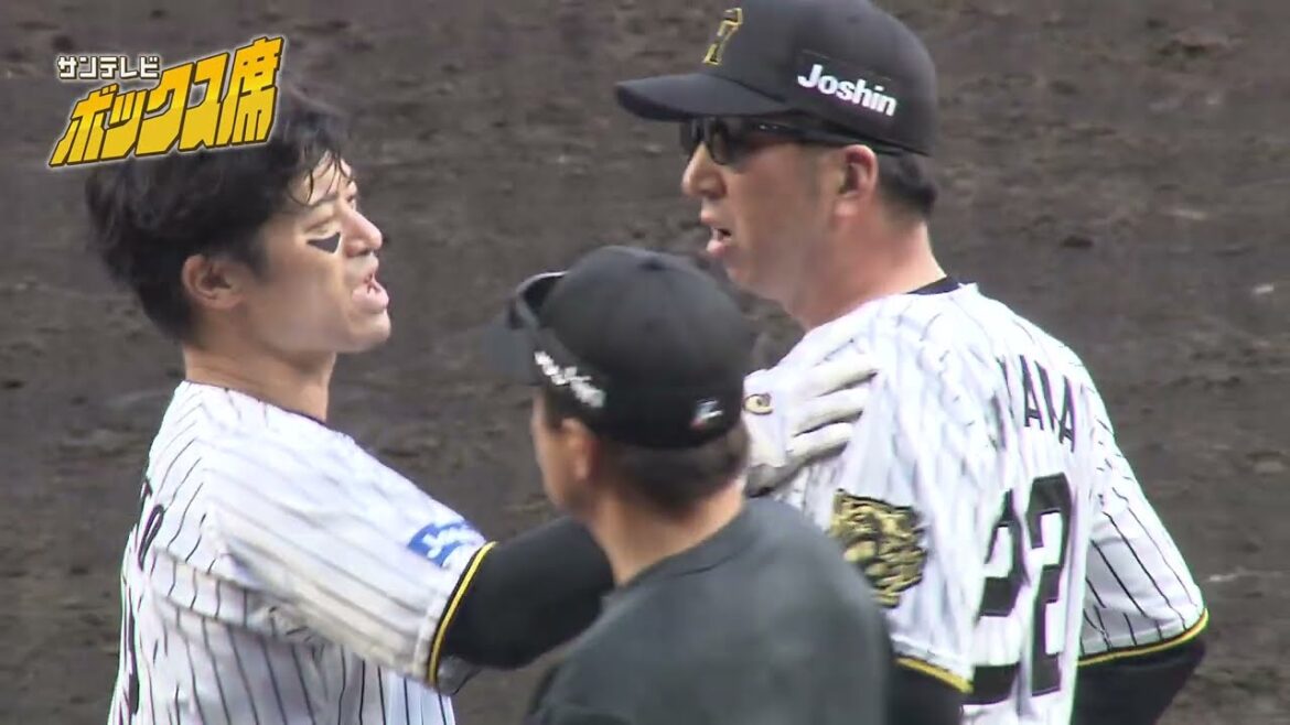 【エキサイト】藤川監督激怒！坂本誠志郎選手への頭部死球で両軍ベンチから監督選手が飛び出す事態に（2025年4月20日 阪神ー広島） #サンテレビボックス席
