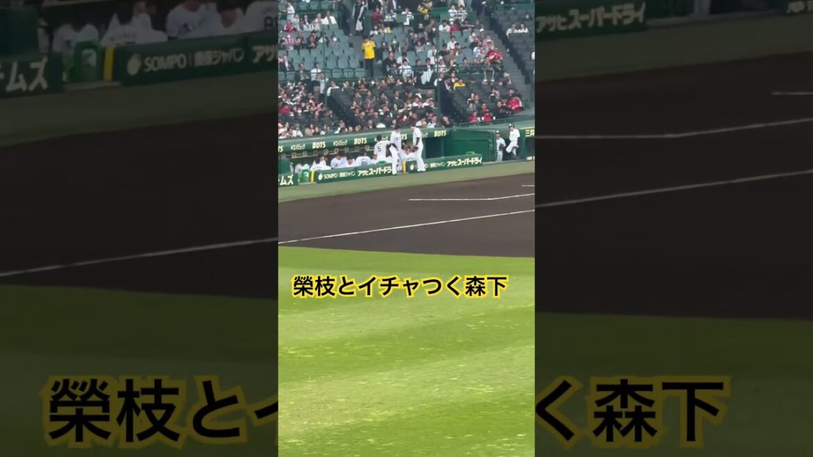 榮枝とイチャつく森下 見守る近中#森下翔太 #榮枝裕貴