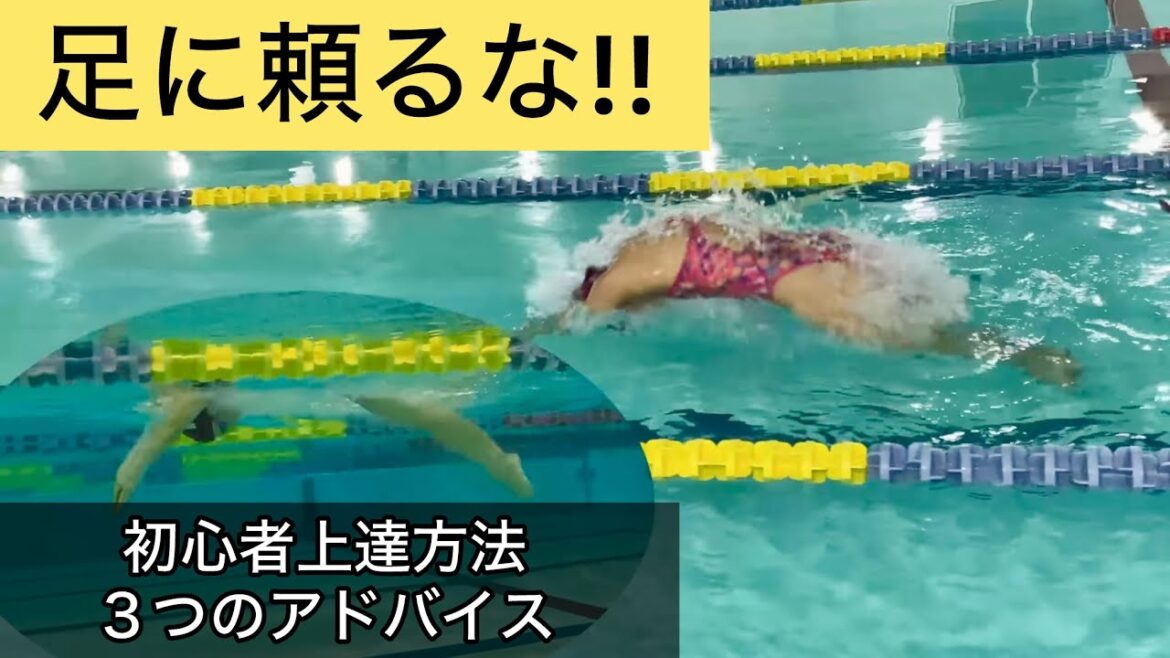 教えて！【ドルフィンキック】初心者から上達する方法