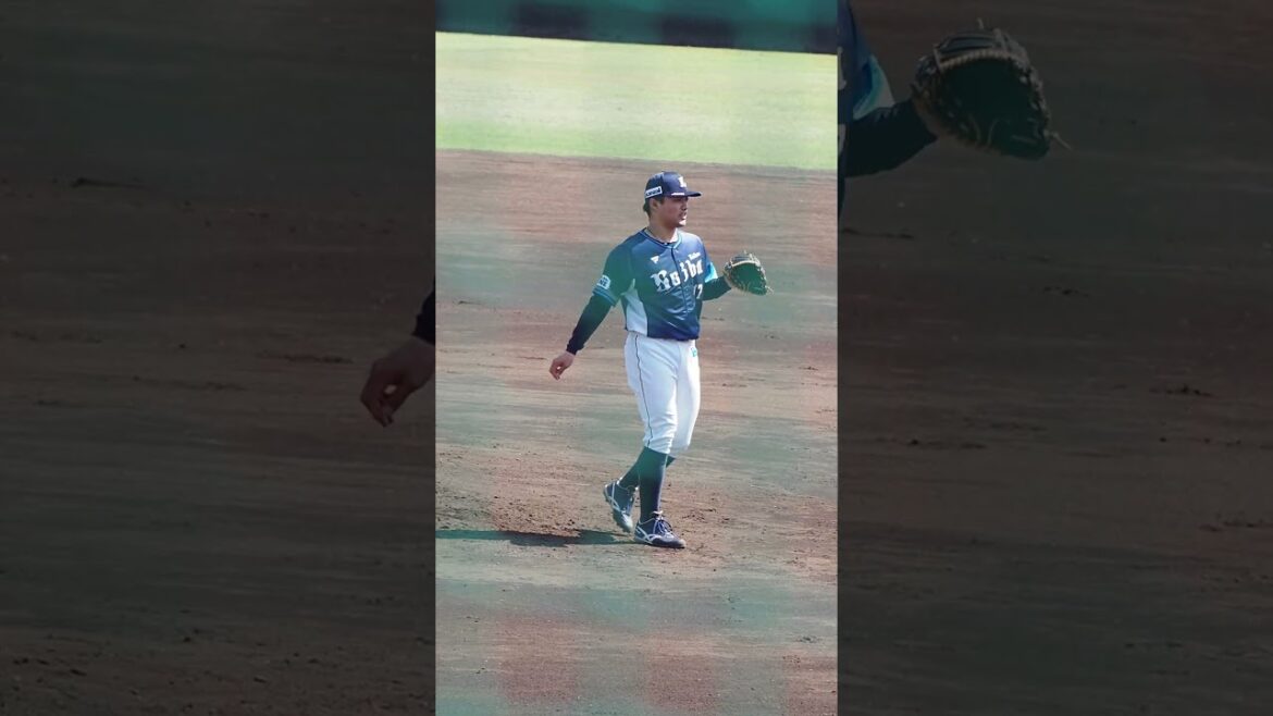 2025.04.12 埼玉武蔵-埼玉西武 #松本航 投球練習 (熊谷) #seibulions #プロ野球 2025.04.12 埼玉武蔵-埼玉西武 #松本航 投球練習 (熊谷) #seibulions #プロ野球