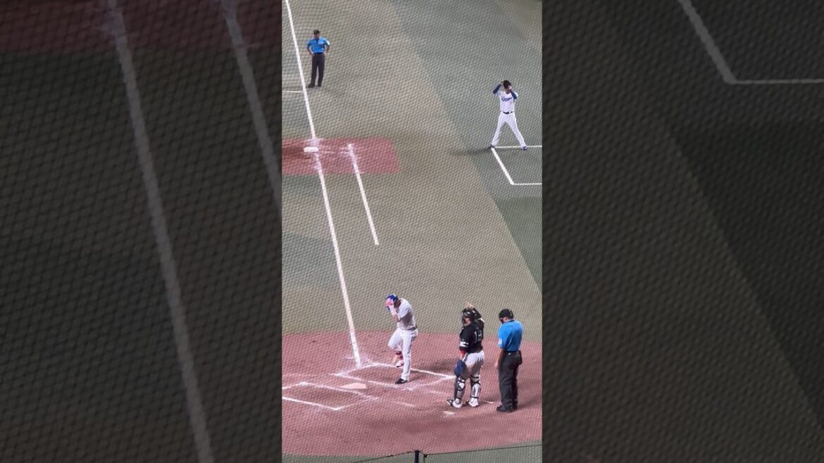 大島プロ💫ルーティン✨BGMチャンテ　交流戦🌈ナゴヤドーム2024.6.4 ソフトバンク戦　2-3負け🥲髙橋宏斗試合作るも、同点で9回ライデル打たれる😨 内野S100番台上段より #ビシエド