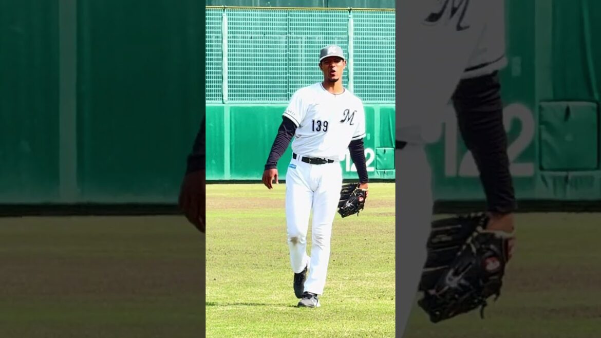 エルウィン・パラシオス  2025/4/19 ロッテ vs ヤクルト  #chibalotte