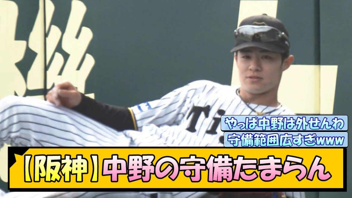 【阪神】中野の守備たまらん件