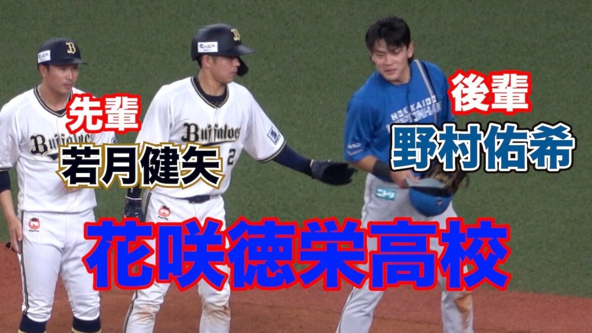 【花咲徳栄高校】死球喰らった若月先輩に声をかけるが、小突かれてしまった日ハム・野村佑希