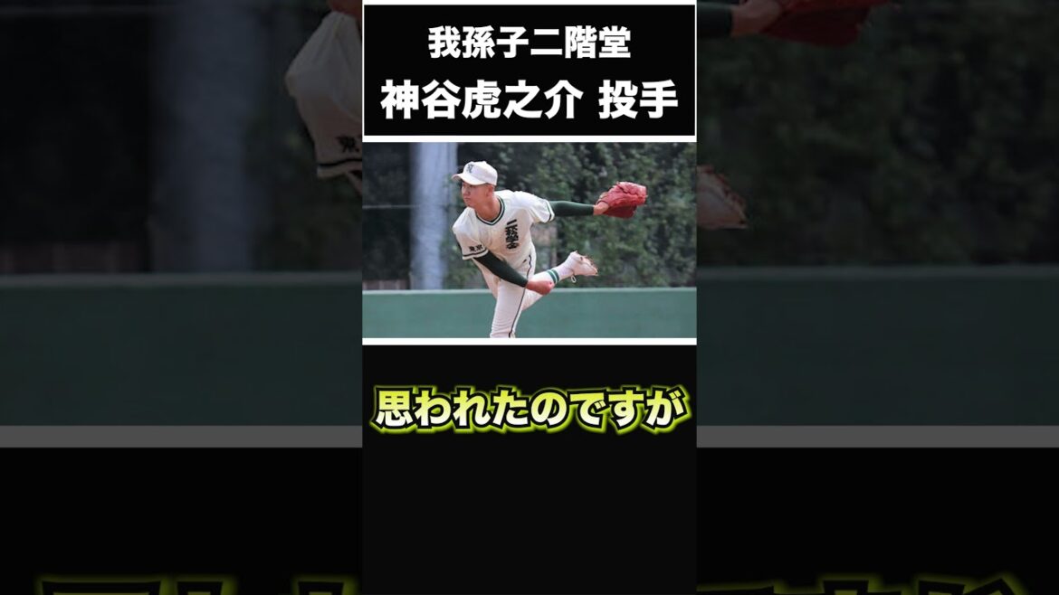 【阪神タイガース】2025年 ドラフト候補！ ＜我孫子二階堂＞神谷虎之介 投手 二松学舎大付属から再入学した苦労人！まだまだ野球への情熱は無くならない #shorts #阪神タイガース #プロ野球