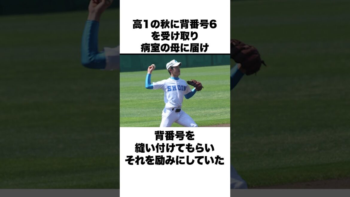「母親の骨髄ドナーを決意」長岡秀樹についての雑学#野球 #野球雑学#ヤクルトスワローズ