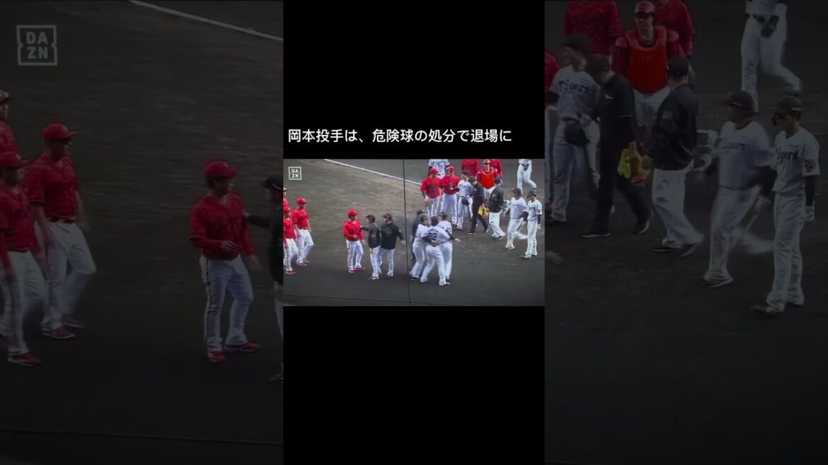 阪神vs広島で、藤川球児監督が危険球に激高！  #short #藤川球児 #藤川監督 #坂本誠志郎 "危険球 #佐藤輝明 #新井監督 #乱闘 #岡本駿
