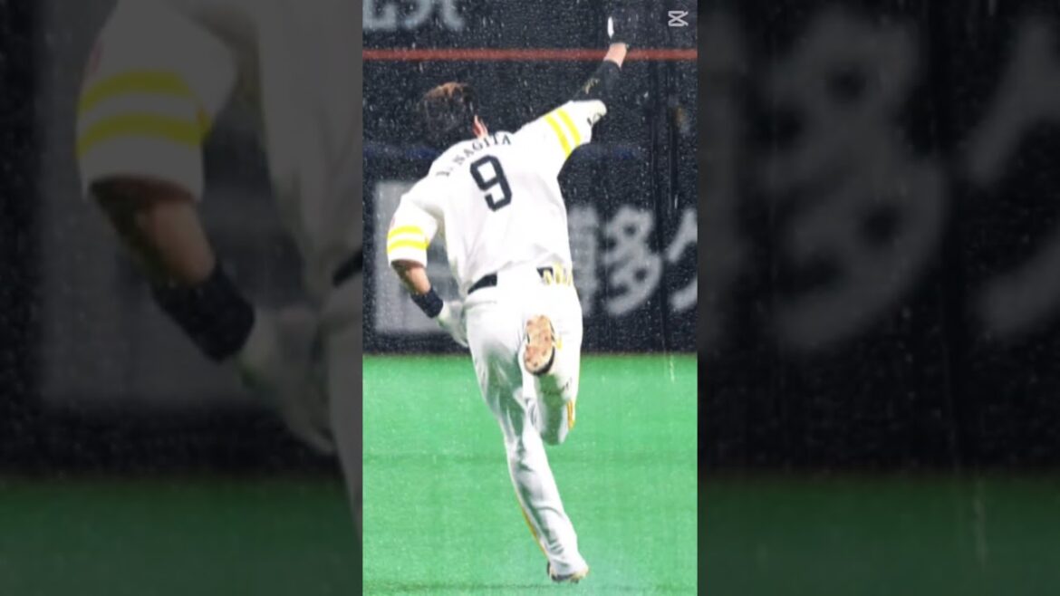 プロ野球88年世代歌詞動画　#プロ野球 #88年世代　#ハンカチ世代　#歌詞動画 #田中将大 #斎藤佑樹 #坂本勇人 #柳田悠岐 #秋山翔吾 #大野雄大 #梶谷　#宮崎敏郎 #感動