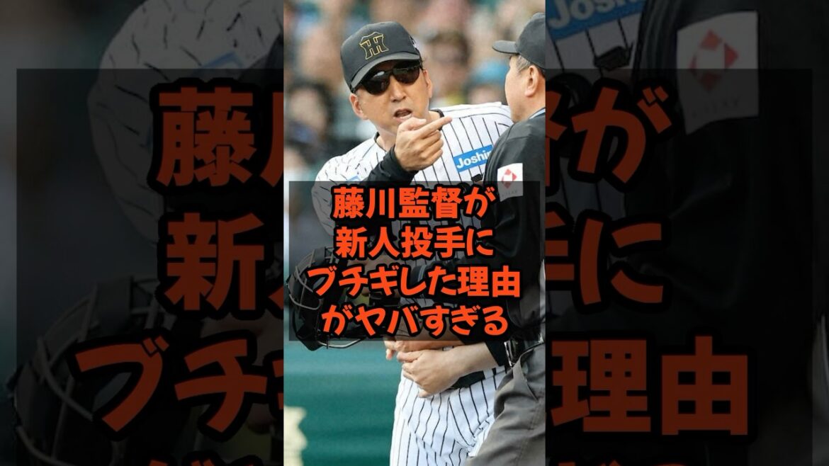 藤川監督がブチギレた理由がヤバすぎる...