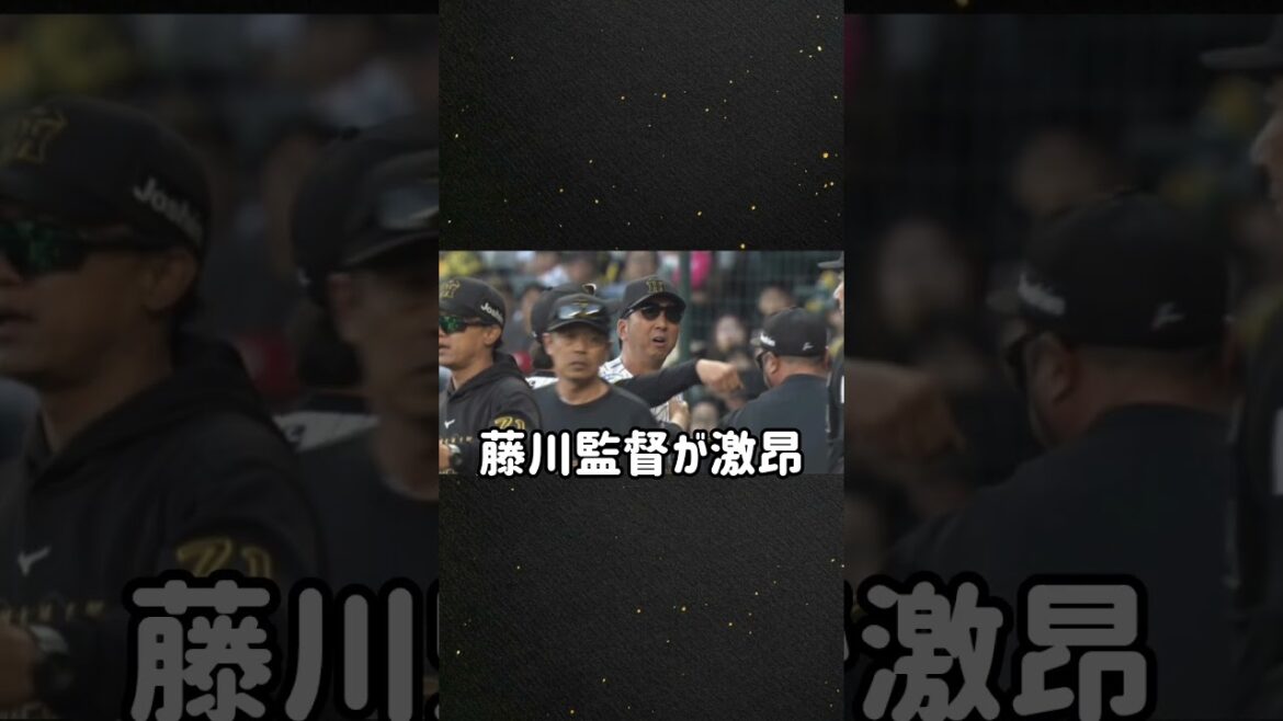 藤川監督、頭部死球にブチギレ #藤川 #死球 #プロ野球