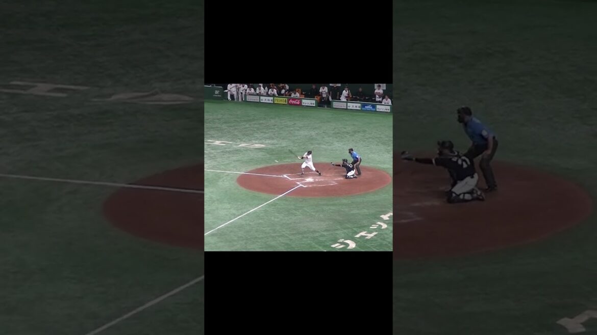 吉川尚輝のサードゴロ〜安田尚憲のサード守備（2024年6月6日 読売ジャイアンツ対 千葉ロッテマリーンズ）