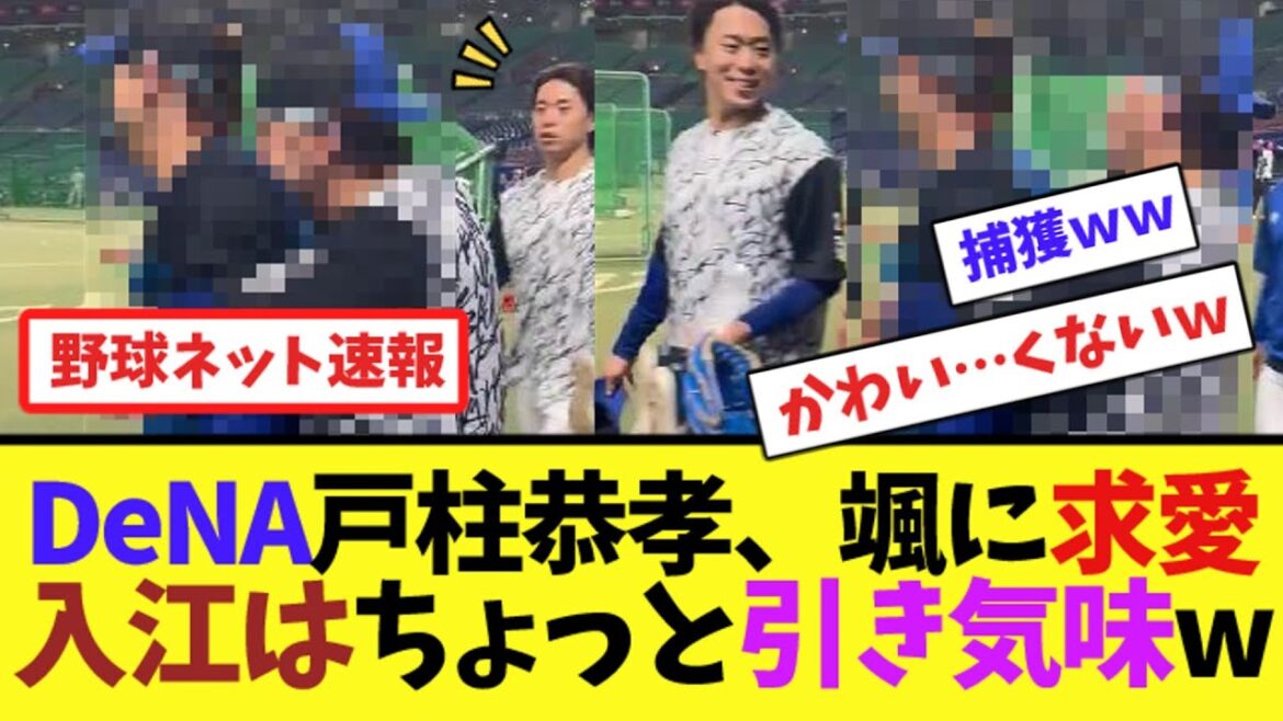 DeNA戸柱恭孝、颯に求愛…入江はちょっと引き気味w【ネット反応集】 DeNA戸柱恭孝、颯に求愛...入江はちょっと引き気味w【ネット反応集】