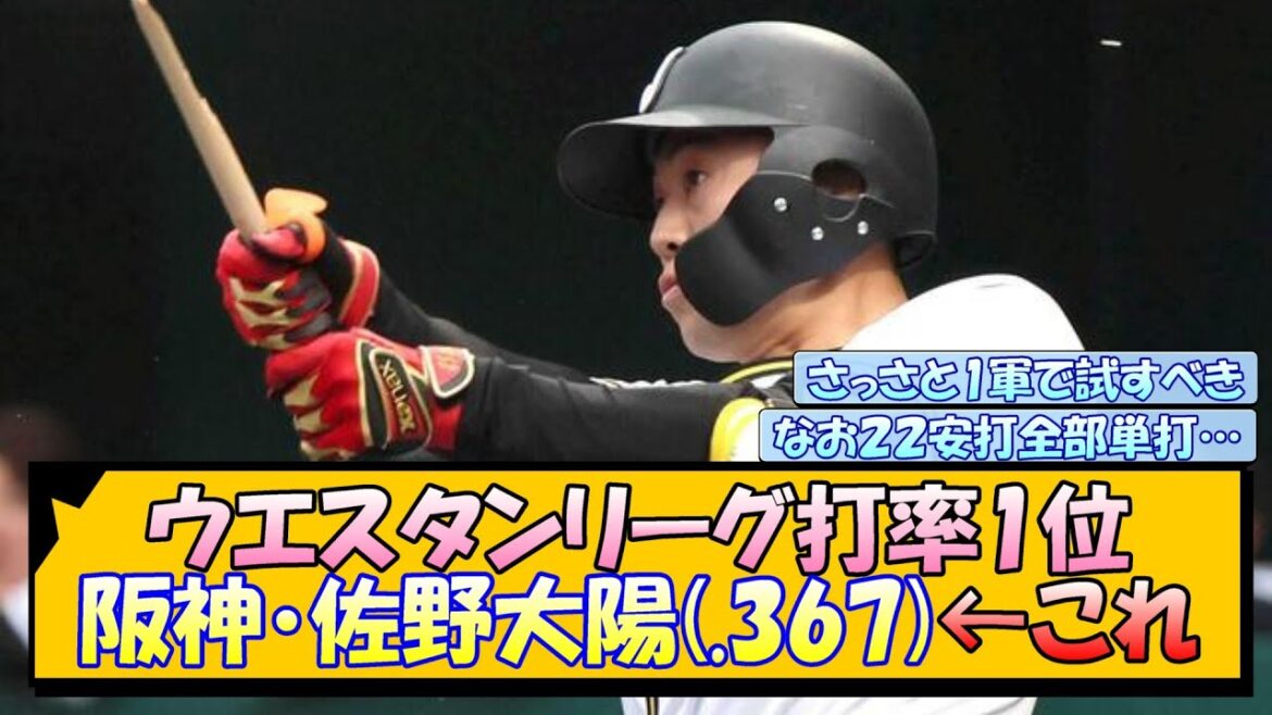 ウエスタンリーグ打率1位 阪神・佐野大陽(.367)←これ