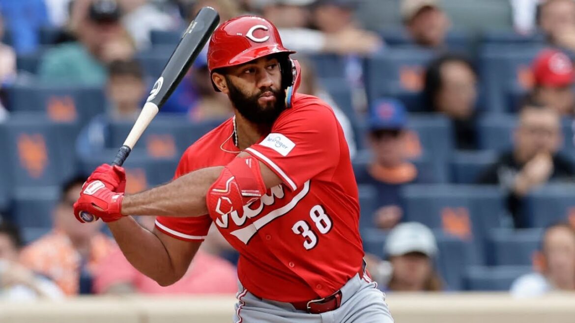 Amed Rosario 2024 Highlights!