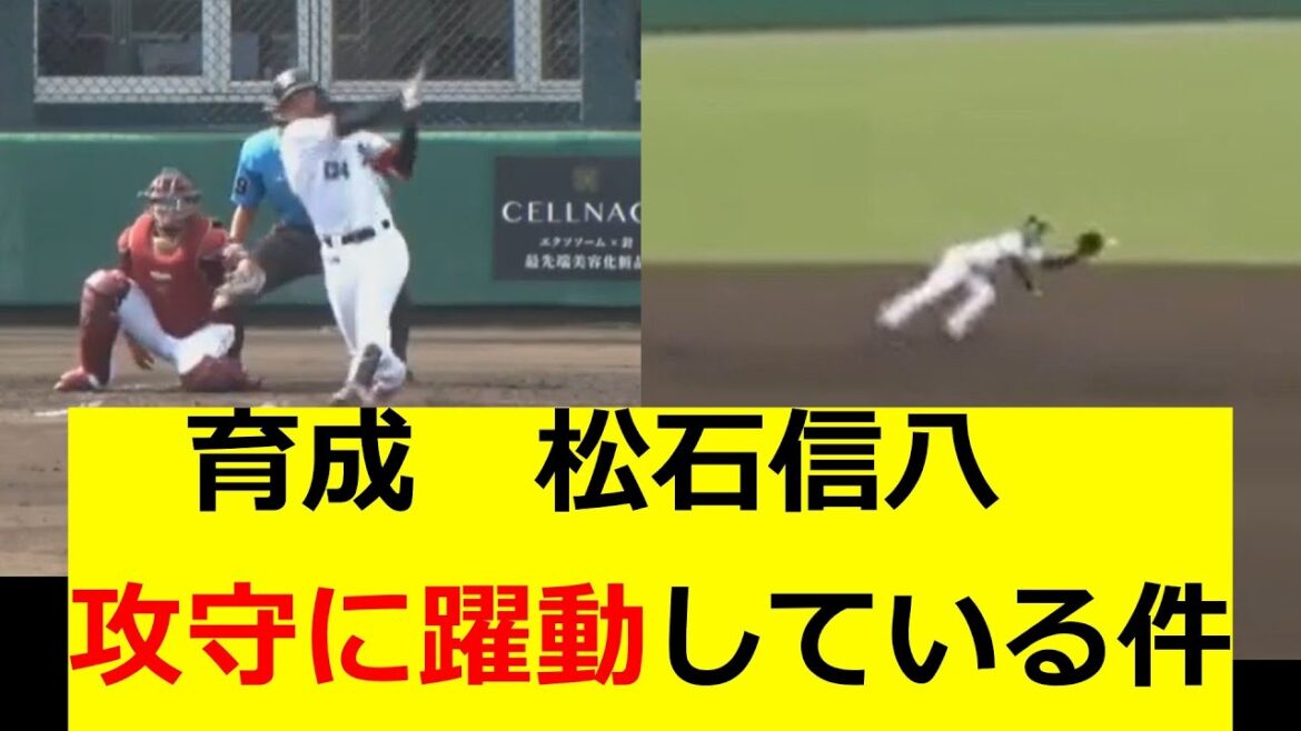 ロッテ育成　松石信八が攻守に躍動しすぎている件について