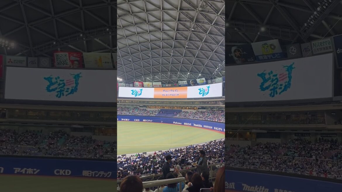 中日龍陳偉殷引退儀式 介紹