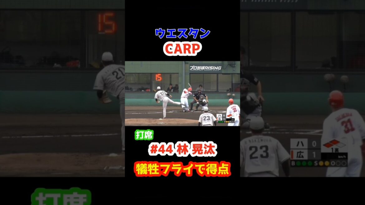 2025/4/22 カープ vs くふうハヤテ 【犠牲フライの得点】#44林晃汰 #carp