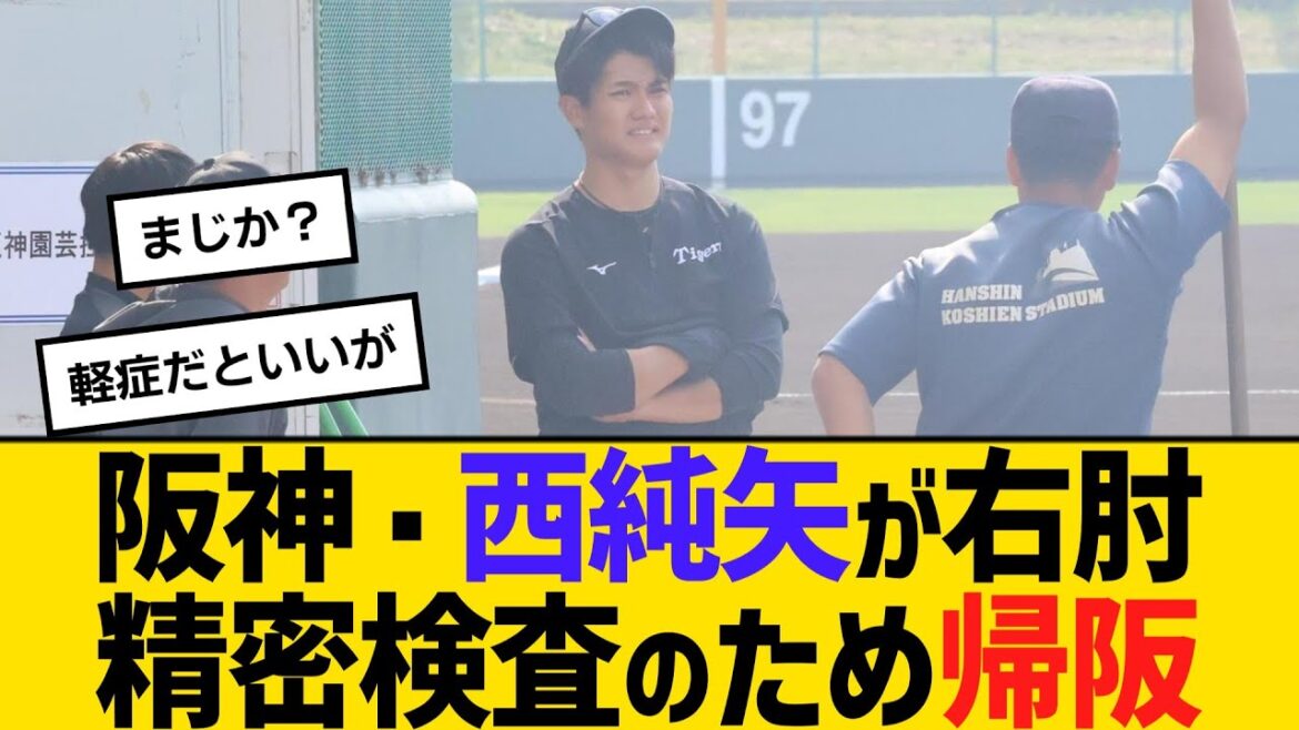阪神・西純矢が右肘精密検査のため帰阪　【ネットの反応】【反応集】