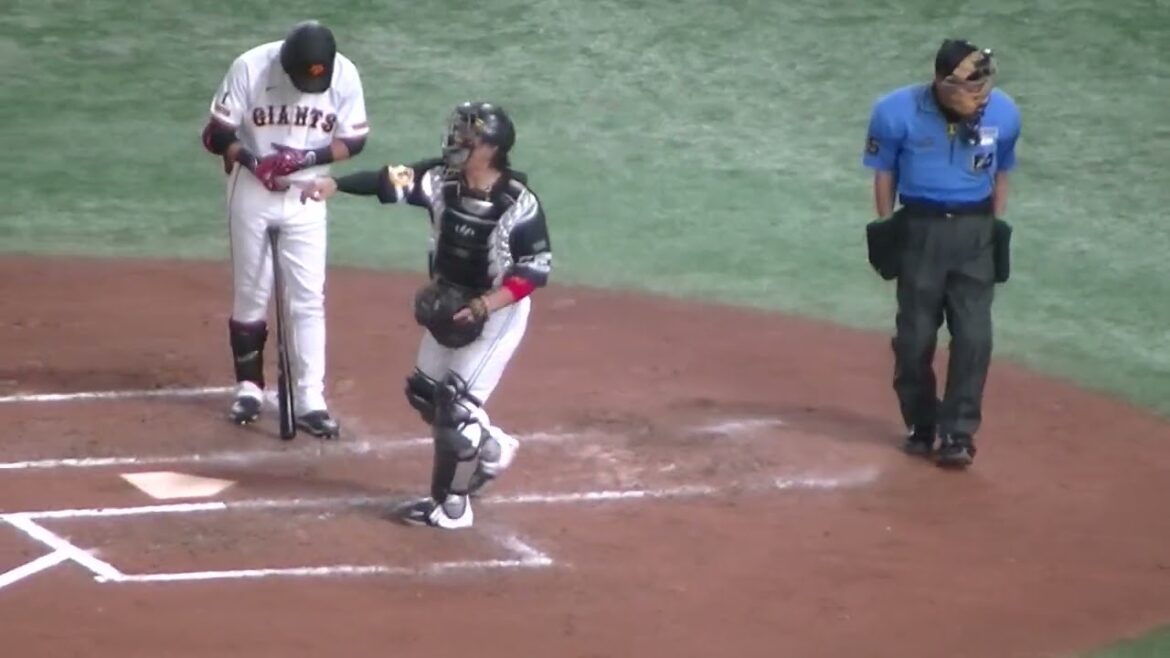 代打 立岡宗一郎フォアボールを選ぶ（2024年5月28日 読売ジャイアンツ対 福岡ソフトバンクホークス）