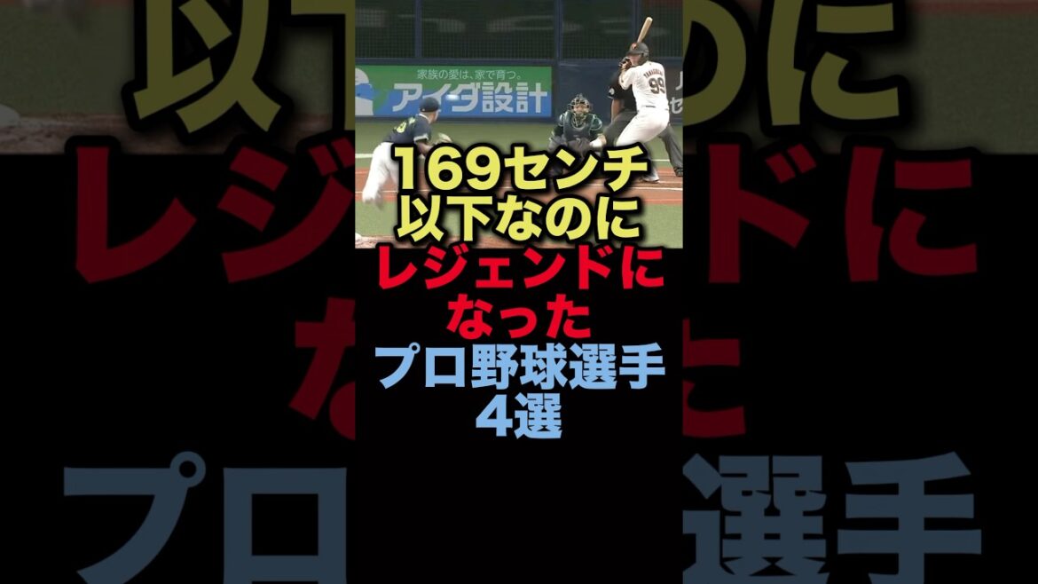 169センチ以下なのにレジェンドになったプロ野球選手4選#プロ野球　#ヤクルトスワローズ