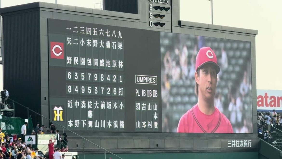 広島カープ羽月隆太郎ヒーローインタビュー！甲子園阪神戦で2点タイムリー！誕生日に主役に