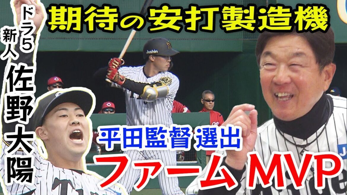 【MVP】平田ファーム監督が絶賛！ヒットメーカー佐野大陽への期待語る！