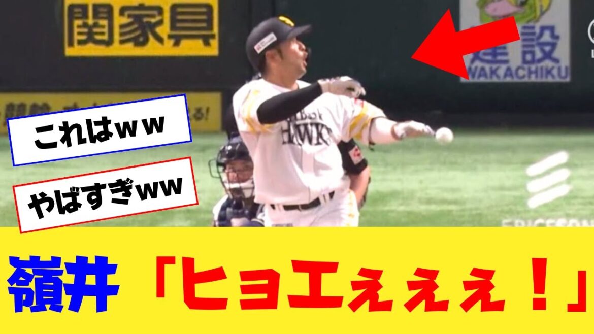 【動画】嶺井、とんでもない行動に出るwwww 【動画】嶺井、とんでもない行動に出るwwww