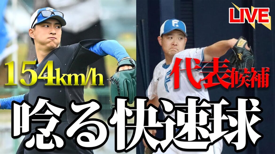 【春季キャンプ】達孝太154km/h計測＆齋藤友貴哉が代表候補に。ファイターズのことを語ろうぜ雑談