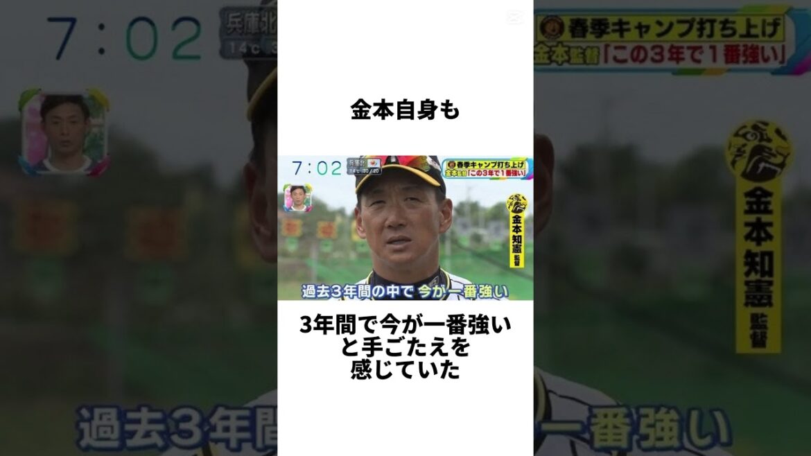 『球団に裏切られた元スター選手金本知憲の末路』について　#shorts #野球　#プロ野球　#阪神　#阪神タイガース　#金本知憲