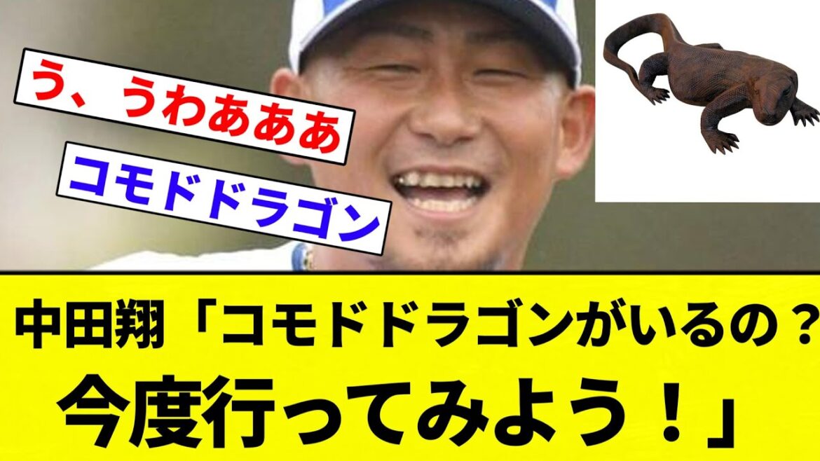 【お前 行ってみたな】中田翔「コモドドラゴンがいるの？今度行ってみよう！」【プロ野球反応集】【2chスレ】【なんG】