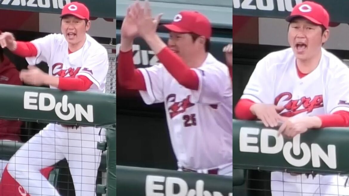 大瀬良に勝ちつけた！新井監督が絶叫、初回怒涛の4得点のカープベンチハイライト！広島東洋カープvs東京ヤクルトスワローズ 2025年4月23日