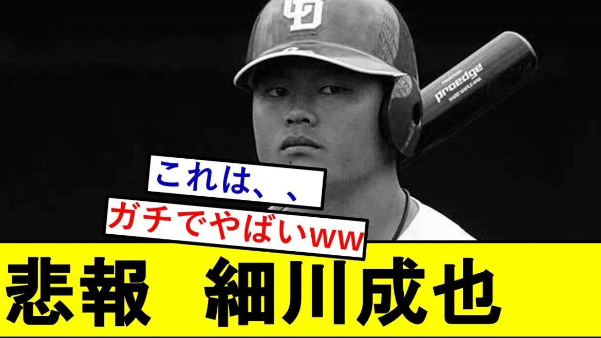 【悲報】細川成也さん、ちょっとやばいことになっていた模様、、、【中日ドラゴンズ】
