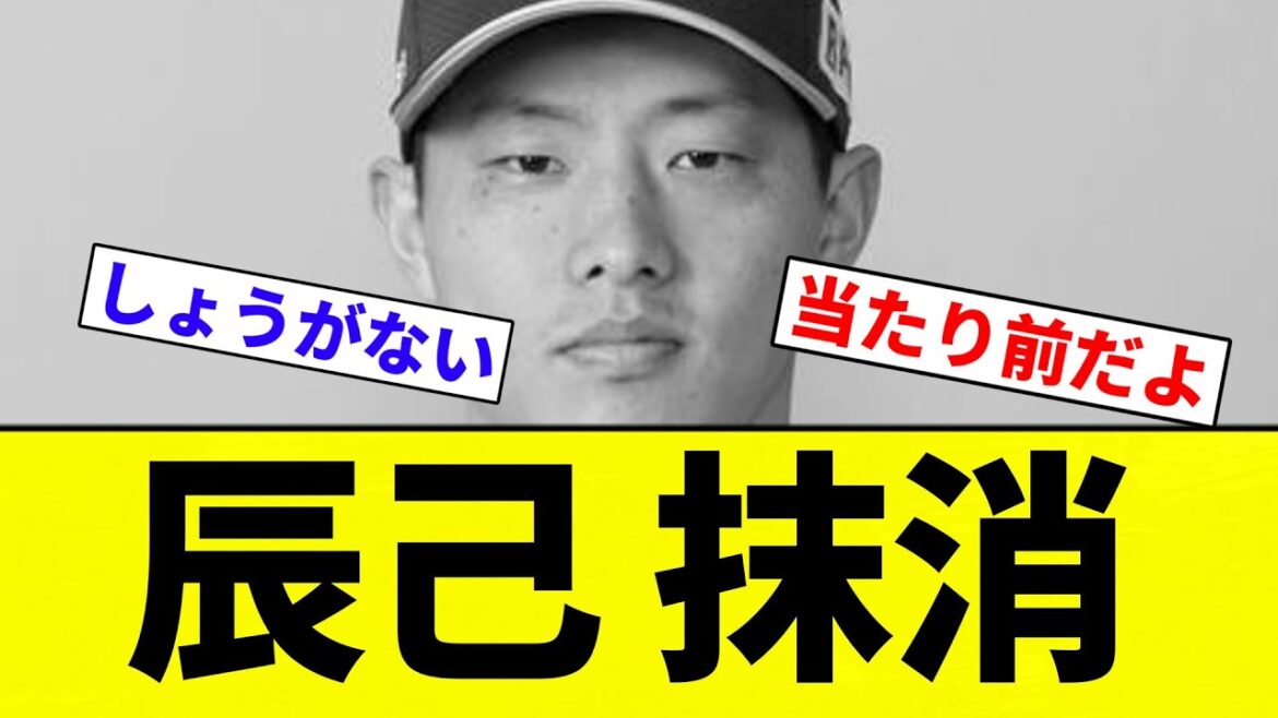 【なにがあったんだ?】辰己 抹消【プロ野球反応集】【2chスレ】【なんG】 【なにがあったんだ?】辰己 抹消【プロ野球反応集】【2chスレ】【なんG】