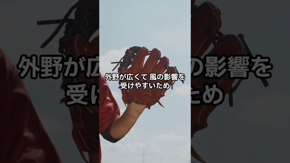 プロ野球スタジアム ホームラン数を比較