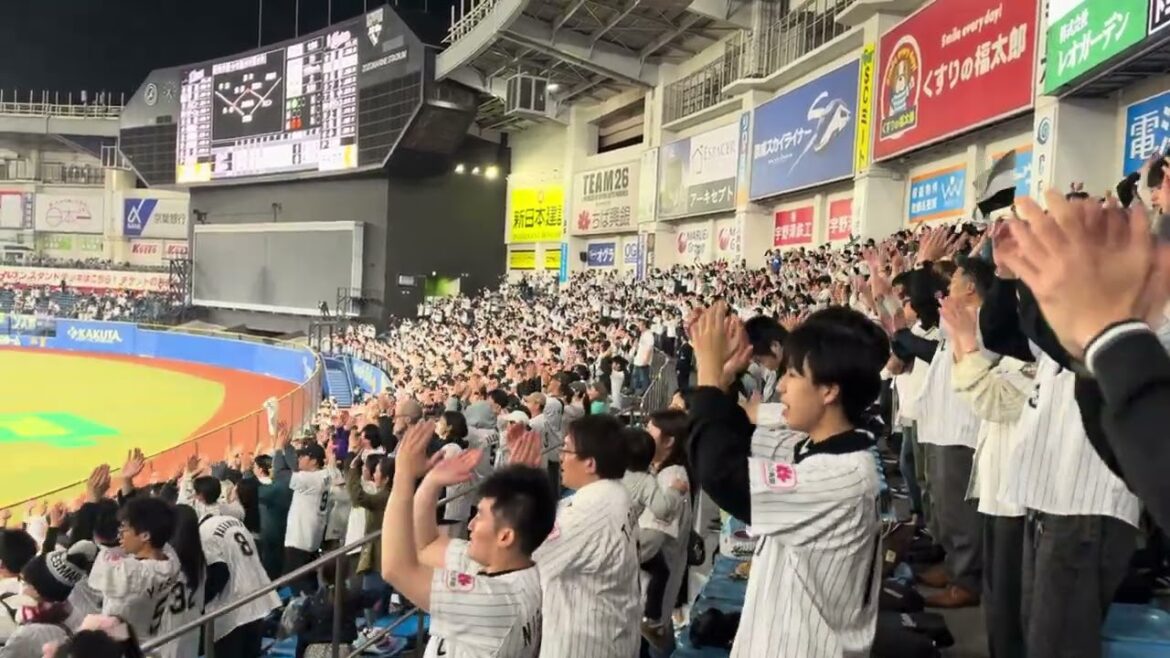 藤岡裕大応援歌  2025/4/22 ロッテ vs ライオンズ  #chibalotte