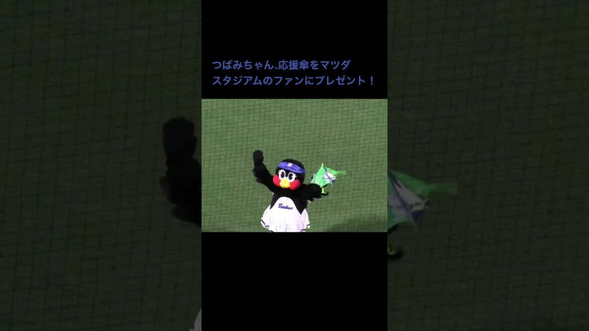 つばみちゃん、マツダスタジアムのファンに応援傘をプレゼント！広島東洋カープvs東京ヤクルトスワローズ #shorts 2025年4月23日