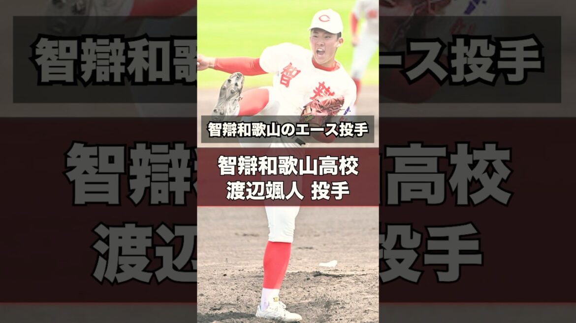 【阪神タイガース】2025年 ドラフト候補！ ＜智辯和歌山高校＞渡辺颯人 投手 智辯和歌山の右のエース 春の選抜では3勝をマークして準優勝 #shorts #阪神タイガース #高校野球